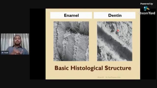 Basic Histology Of Tooth