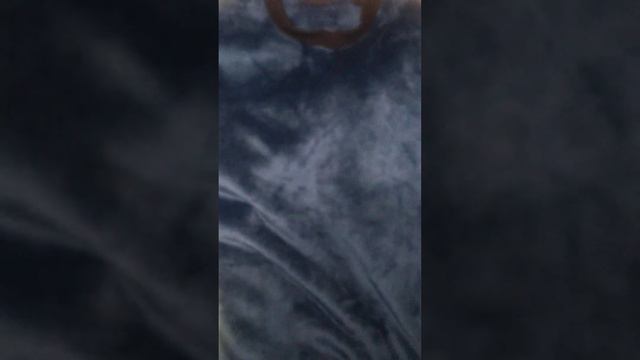 Пушка любит лежать на спине смотреть онлайн