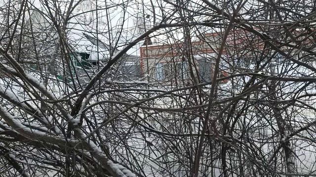 Закупила продукты . Едем с Элис обратно в свой мини - мегаполис смотреть онлайн