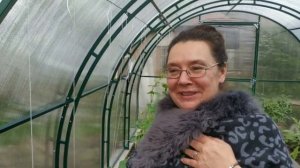 Подсчет стоимости теплицы из поликарбоната / Как выгодно приобрести теплицу