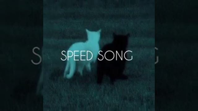 -на душе декабрь, а за окном май май. |speed Up| #speed #speedupsongs #song #speedup ♡