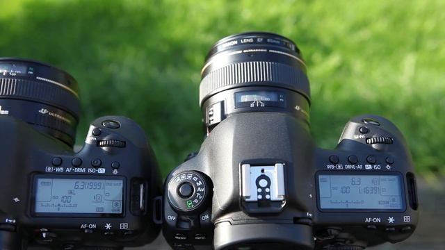 Faulty Canon 5D Mark IV смотреть онлайн