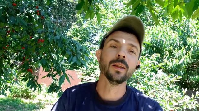 //Кабанчик для Андрея Новикова //Вася и Космонавт//Кабан в мешке,показываю одних продаю других?// смотреть онлайн