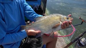 КУБОК РОССИИ ПО ФИДЕРУ 2023 / ЛОВЛЯ ЛЕЩА НА ФИДЕР / ФИДЕРНЫЕ СОРЕВНОВАНИЯ