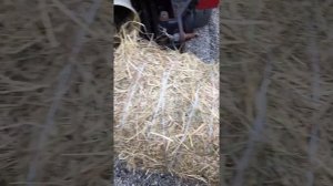 Рулонный Пресподборщик Стар мини 800 номер 49064