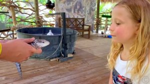 Настя учится украшать машину в яркие цвета. Полезное видео для детей.