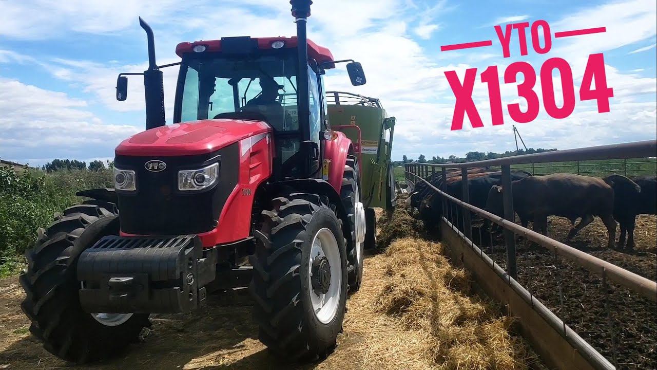 Звук ВОМа ласкает душу! Трактор YTO на кормлении мясного стада со смесителем Хозяин смотреть онлайн