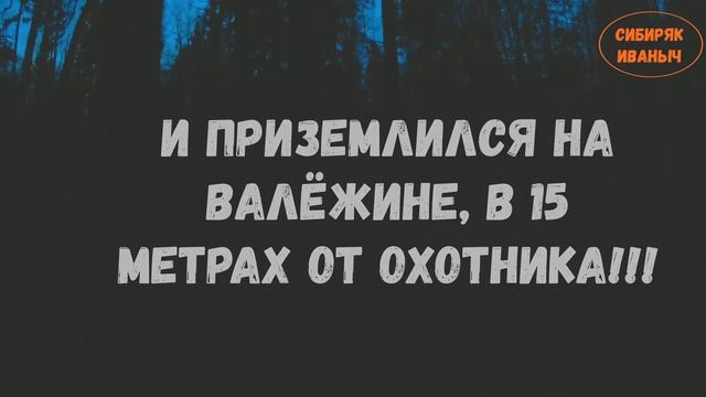 Удивительный случай на глухарином ТОКу смотреть онлайн