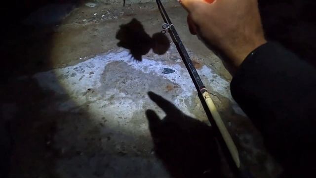 Ловля БЕШЕНОГО Луфаря! Рыбалка на Черном Море с Берега смотреть онлайн