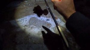 Ловля БЕШЕНОГО Луфаря! Рыбалка на Черном Море с Берега