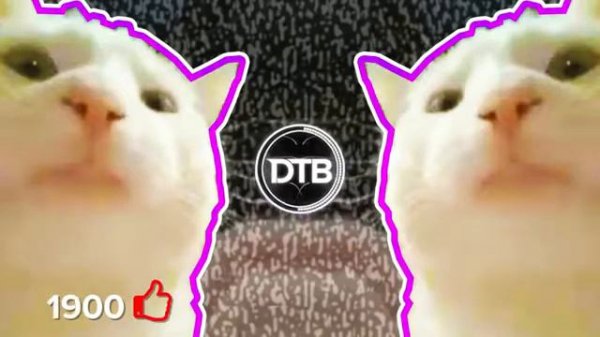 Кот мем песня