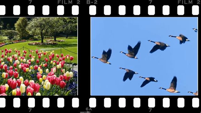 Картинки неба - поет Мария Паротикова, автор песни Татьяна Шемякина-Бородянская смотреть онлайн