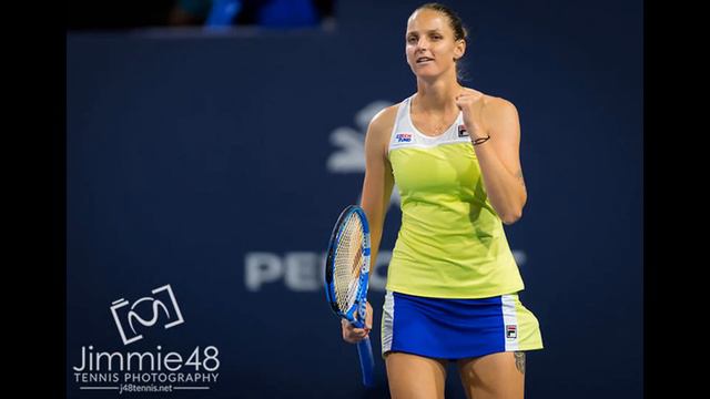 Эшли Барти - Каролина Плишкова  Miami Open 2019. Финал. Стака 100к