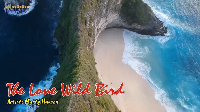 The Lone Wild Bird - Marty Haugen смотреть онлайн