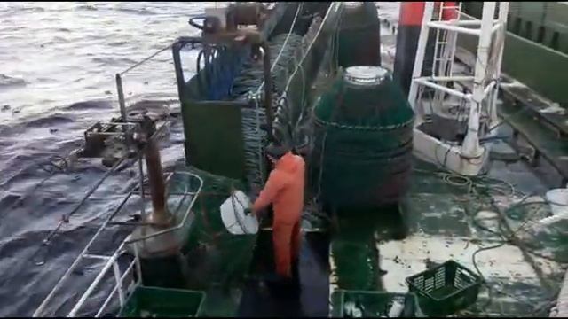 Промысел вылов краба. Японское море. Шанс 105. Добыча краба