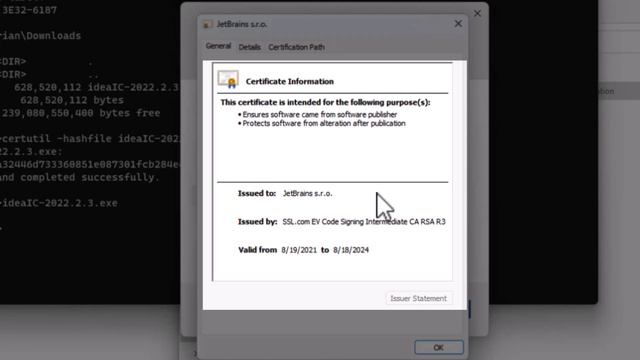 How to Install IntelliJ on Windows 11 - Step by Step Guide смотреть онлайн