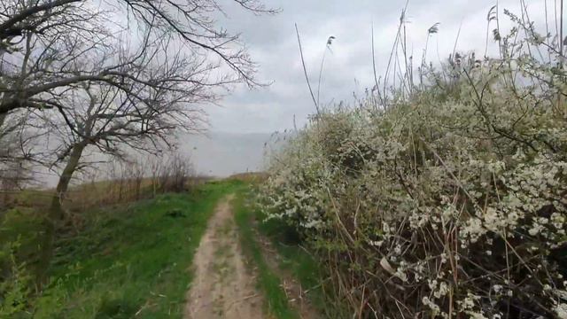 Весна. Мержановский родник и Таганрогский залив. смотреть онлайн