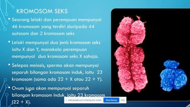 5.2 Pewarisan смотреть онлайн