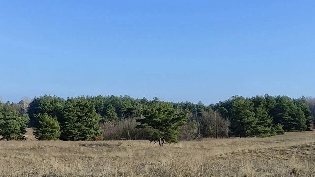 Что означает последняя цифра вашего года рождения... смотреть онлайн