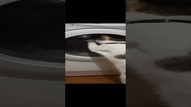 Маленький помощник