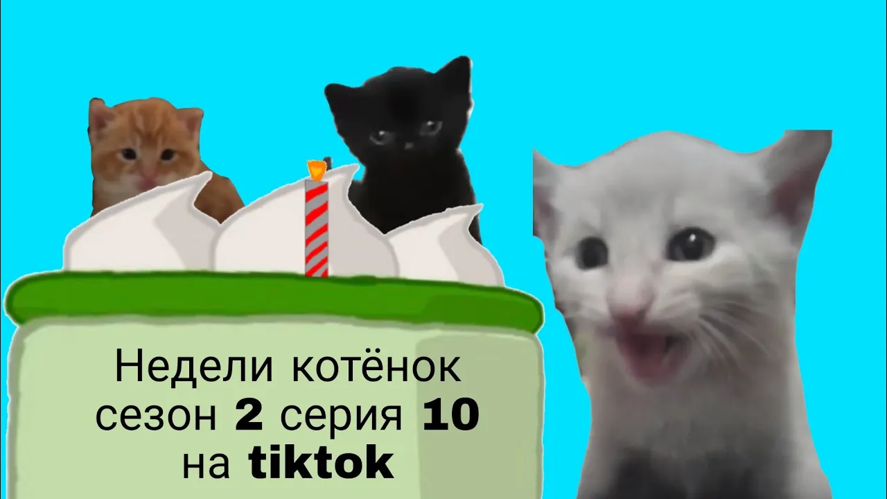 Недели котёнок сезон 2 серия 10 на tiktok смотреть онлайн