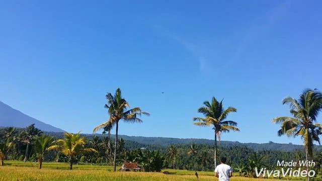 drone syma x8w, nice view смотреть онлайн