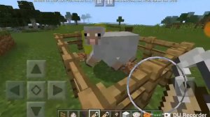 Как сделать радужную овцу?minecraft