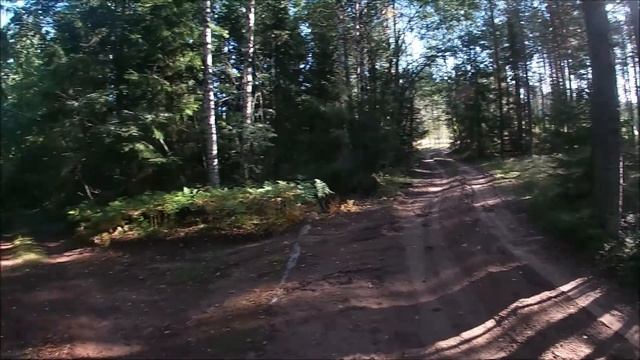 Алёховщина и кое что ещё!!! смотреть онлайн