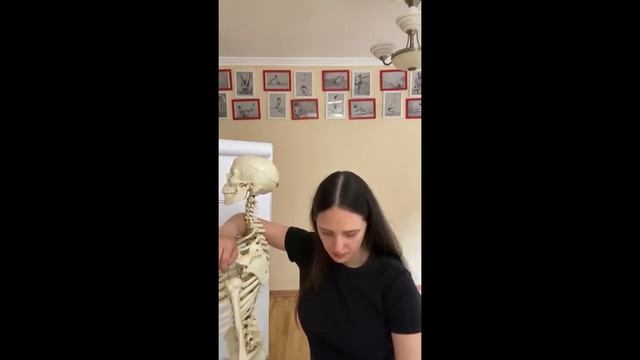 Работа нижней руки в Гомукхасане смотреть онлайн