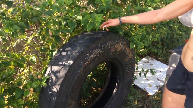 КроссФит база на Бали смотреть онлайн