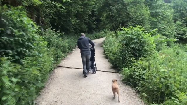 Чем кормят в Турции?.Зловещий розовый фламинго.Водные аттракционы.День в Бассейне.Delphin Imperial. смотреть онлайн