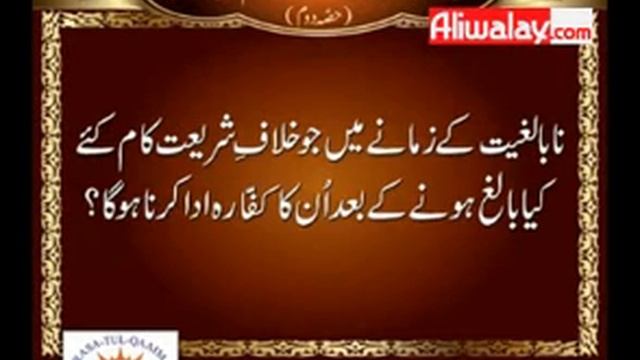 What is your ruling about cats hair on a persons dress during salat - Dr Abid Hussain Zaidi - Urdu смотреть онлайн