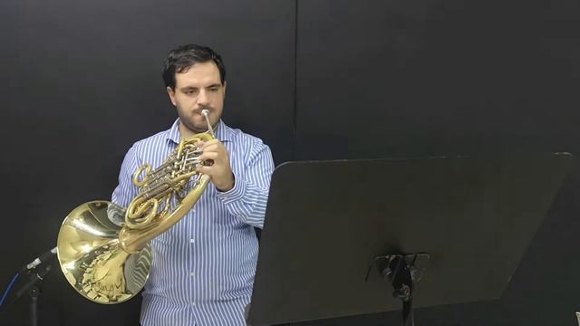 Beethoven symphony 7 1st movement 2nd horn excerpt смотреть онлайн
