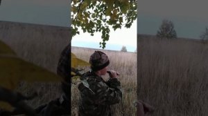 Как манить белолобого гуся. Мой опыт. Охота на гуся 2020. Обучение.