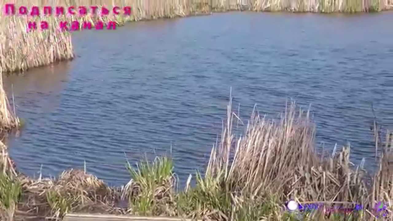 Как снимает видеокамера Sony HDR-CX230/B. Пример видеосъёмки. смотреть онлайн