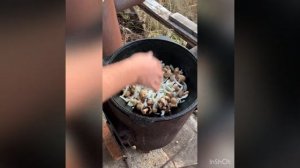 Свинина и курица с шампиньонами и овощами в казане на костре ...