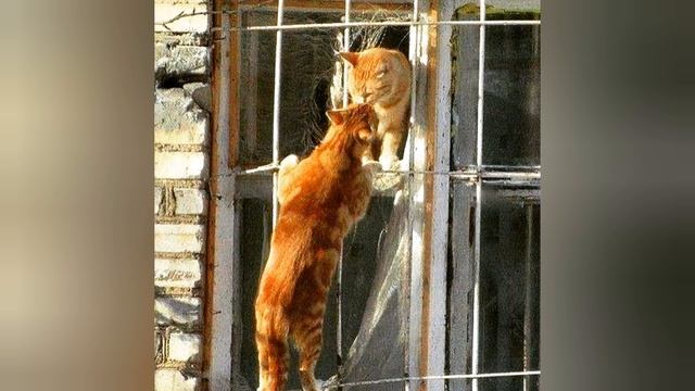 А холодно не только от погоды.. смотреть онлайн