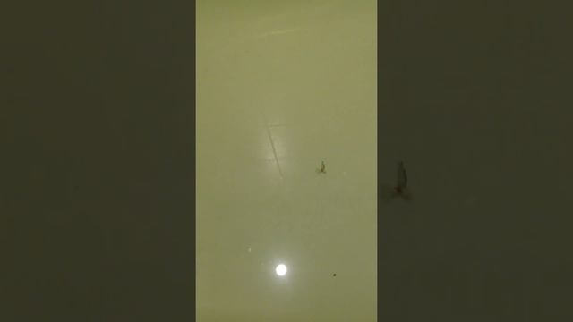 Игра блесны Мерседес смотреть онлайн