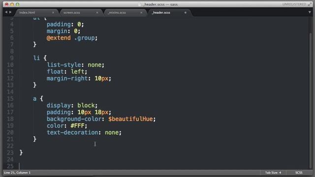 055 sass continued | Computer Monk ? смотреть онлайн