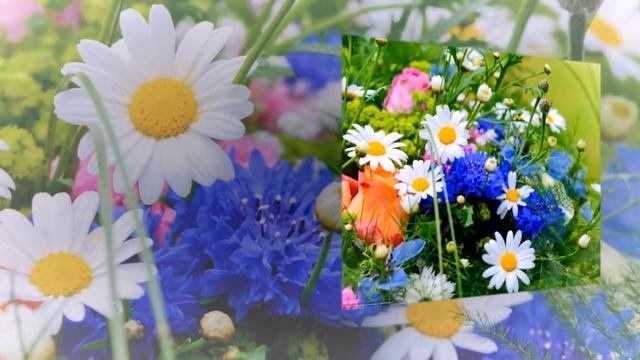 "Я из тех кому нравится жить..." - Чудо каждого дня. Стихи. смотреть онлайн