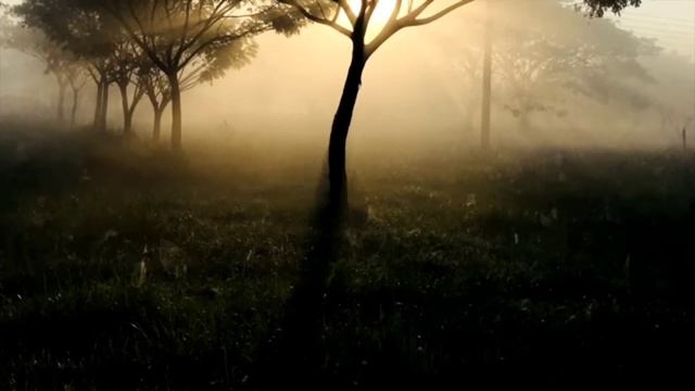 Почему пятница лучший день в Исламе? смотреть онлайн