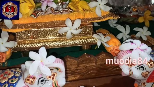 Tulasi Toliba Niyama ॥ Kartika Masare Tulasi Tolibe Ki Nahi ॥ @MuOdiaOriginal #muodia смотреть онлайн