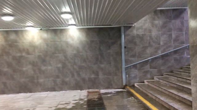 Санкт-Петербург Россия(др.Скифия)железнодорожная станция Удельная март лета 2023, лета 7532 смотреть онлайн