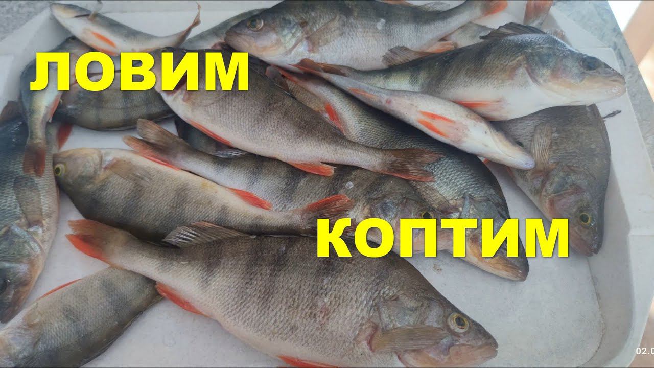 Закрытие сезона зимней рыбалки в апреле 2023 года смотреть онлайн
