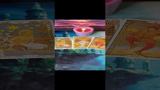 Дом Таро и Котиков