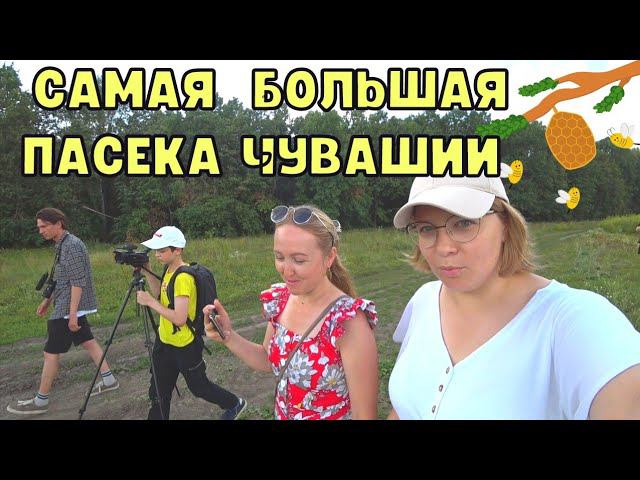 БЛОГЕРЫ ИЗ ЧЕБОКСАР ЕДУТ В ДЕРЕВНЮ Самая большая пасека в Чувашии. Новые Шальтямы. #насележитьхорошо