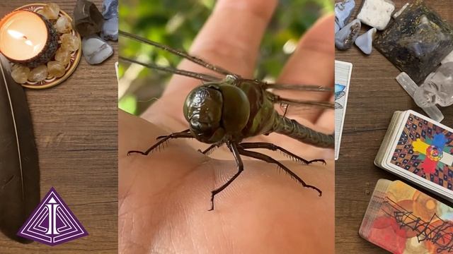 Awakening Healing смотреть онлайн