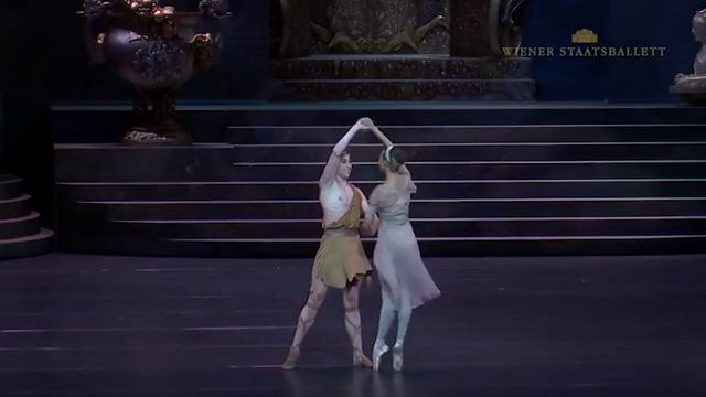 Aminta and Sylvia coda in Sylvia - Denys Cherevychko смотреть онлайн