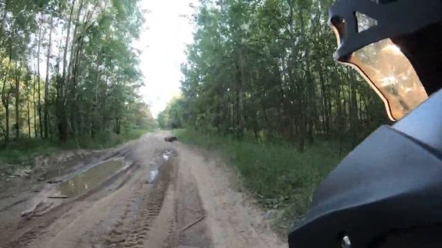 Липки 2019 смотреть онлайн