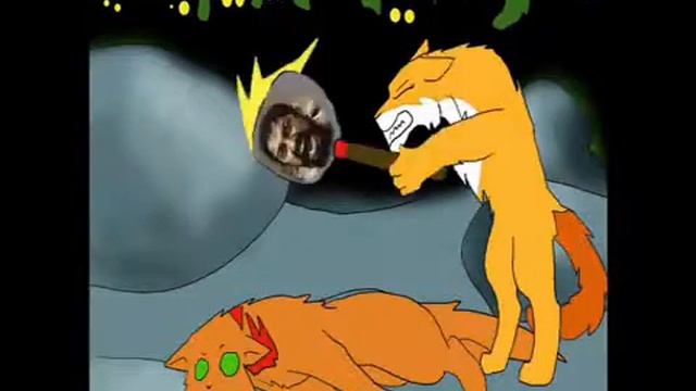 Прикол коты воители. Песчаная Буря забыла что у Огнезвёзда 9 жизней